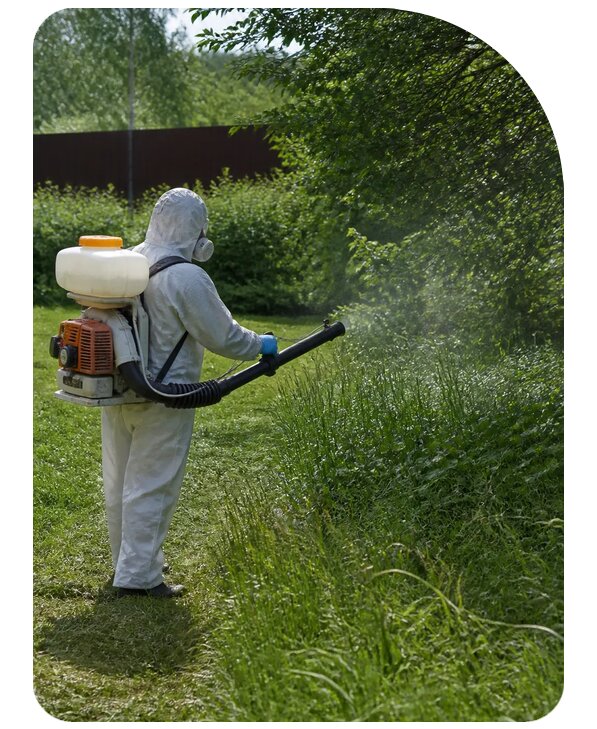 Уничтожение клещей на участке в Тихвине по цене от 5464 р. | Сенат-Тхв